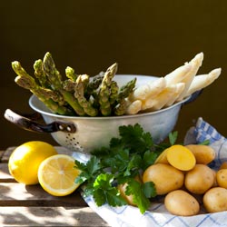Spargel
